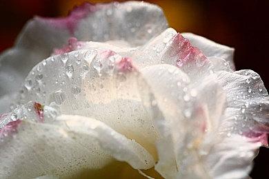 《PAPERHEAD》Steam页面上线 纸壳世界铅笔作战